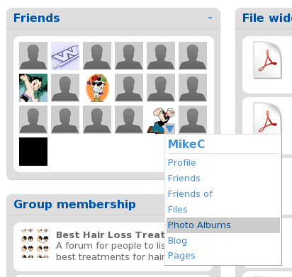 friends_widget_example.png